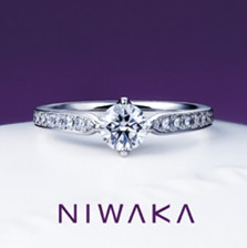 俄 NIWAKA 睡蓮
