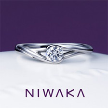 俄 NIWAKA 望