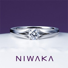 俄 NIWAKA 瑞穂波
