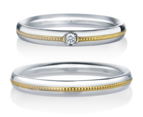 モニッケンダム12WR19 20