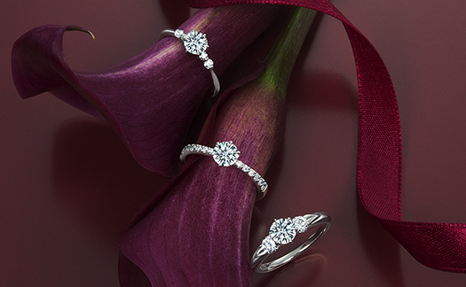 モニッケンダム-婚約指輪・結婚指輪-｜新潟正規代理店 - ISSHINDO  