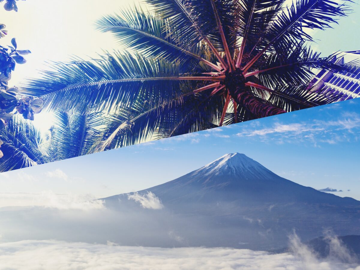 ハワイと日本の風景画