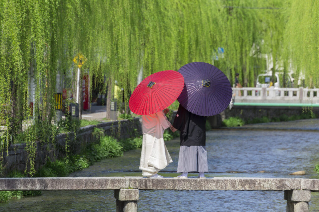 和装の2人が立っている後ろ姿の画像。和傘を差している。
