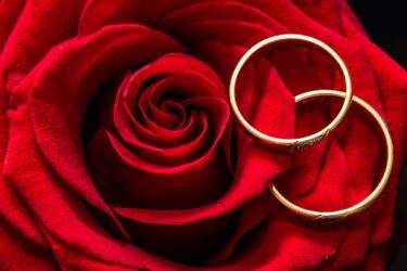 薔薇モチーフの結婚指輪｜美しい薔薇を主役にしたブランドをご紹介