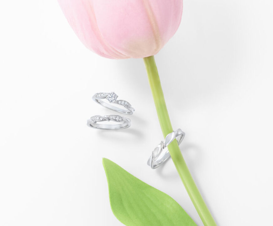 クリーンなダイヤモンドを使ったロイヤル・アッシャーの指輪