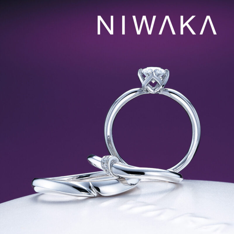 NIWAKAのセットリング　結