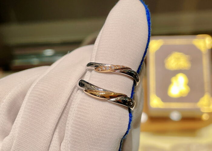 美女と野獣の結婚指輪 エターナルローズ 美女と野獣の結婚指輪 エターナルローズ