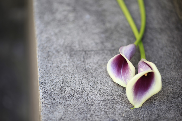 SORAの結婚指輪カラのイメージ