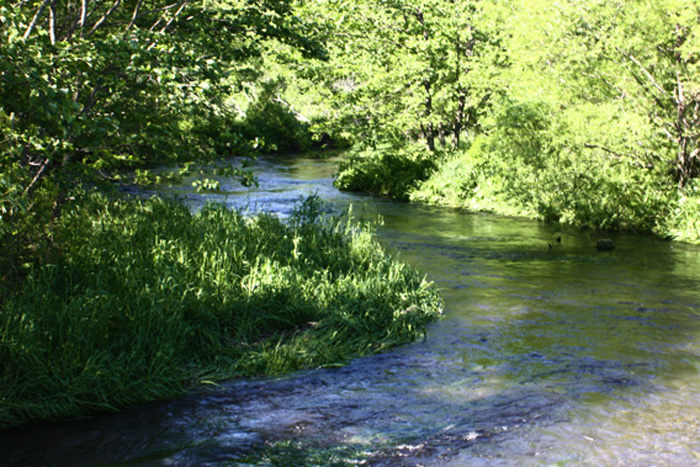 SORAの結婚指輪クリークイメージ