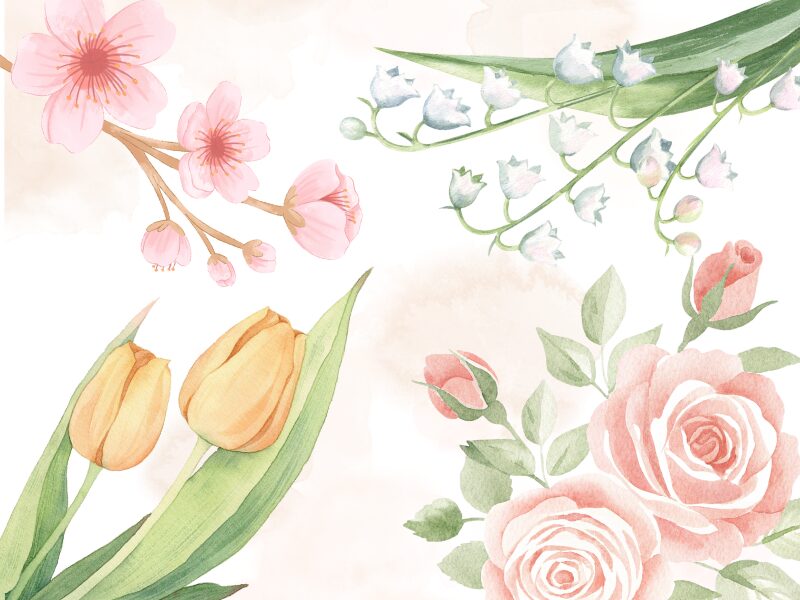 桜、すずらん、チューリップ、薔薇の花