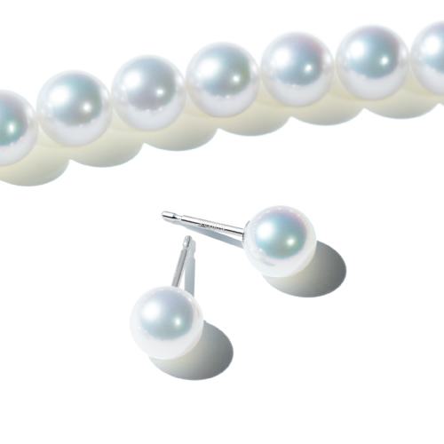 白澄花イメージ