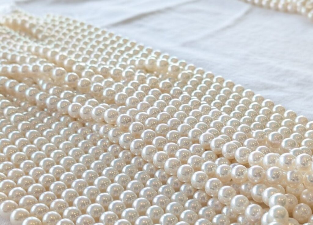 パールのロット