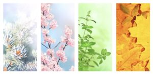 春夏秋冬の思い出を刻む ふたりらしい結婚指輪選び