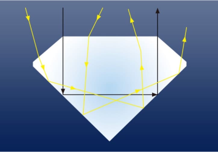 ロイヤル・アッシャー　シンメトリー