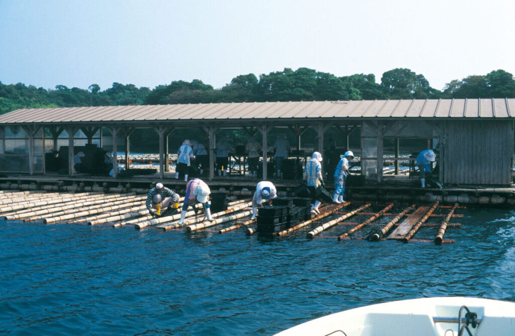 長崎壱岐市半城湾