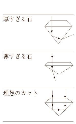 カット図
